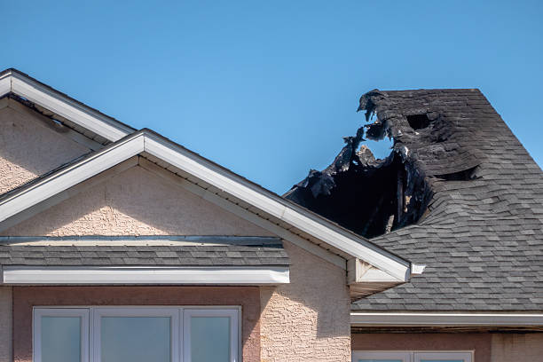 Licensed Odor Removal service in Princeton, TX - Fire Damage Biloxi